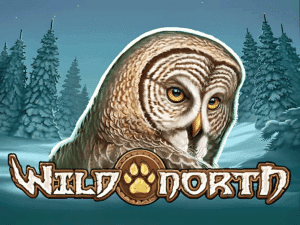Wild North